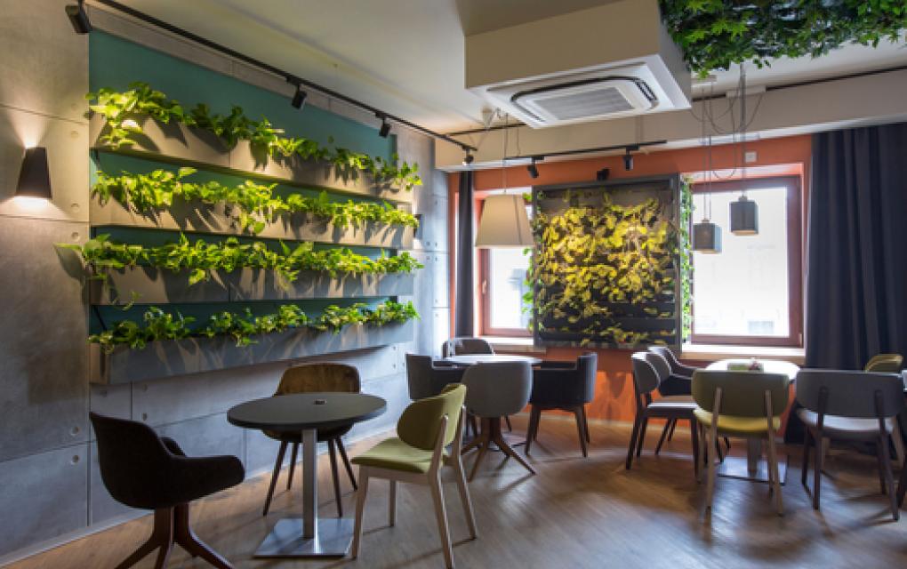 erros comuns decoração restaurante plantas