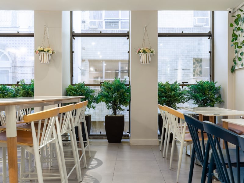 tipos de plantas para restaurante interno