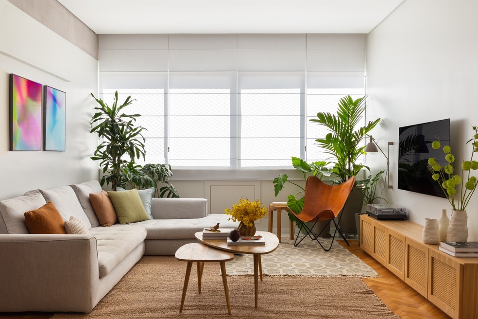 Biofilia: Trazendo a natureza para dentro da sua sala moderna