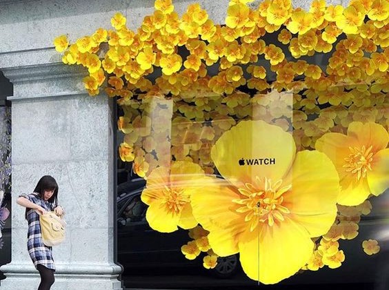 5 ideias de títulos