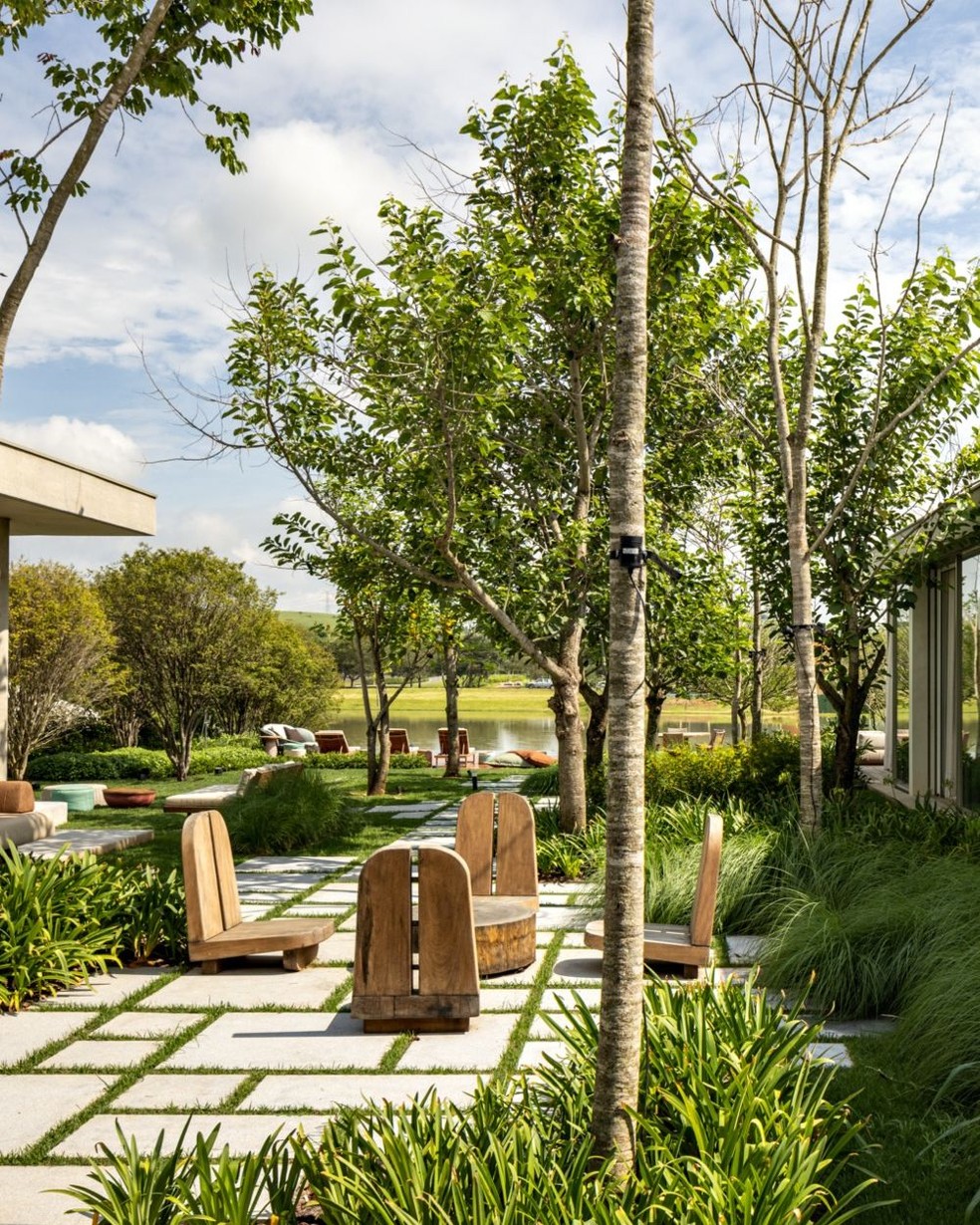 decoração em árvores de jardim