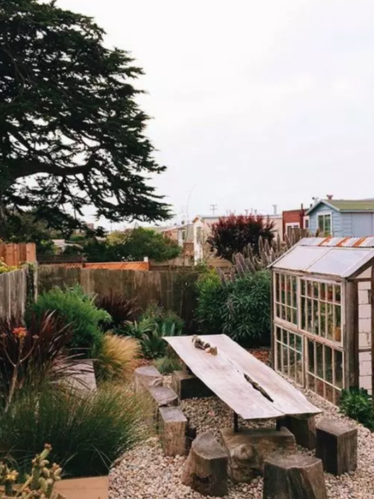 erros comuns decorar árvores jardim