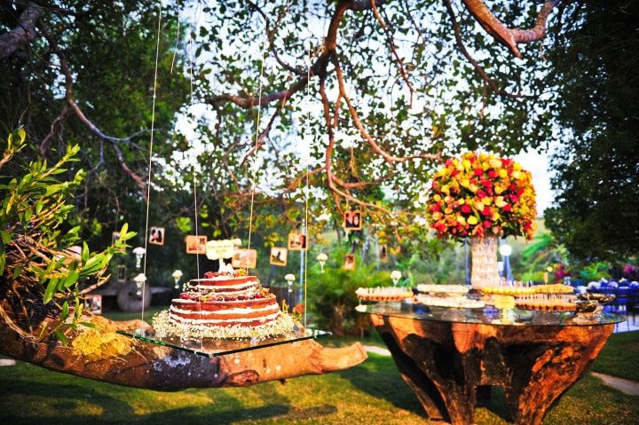 lanterna solar ou cordão luz árvore