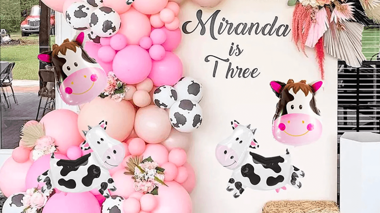 decoração fazendinha menina