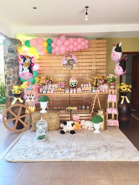 decoração fazendinha rosa