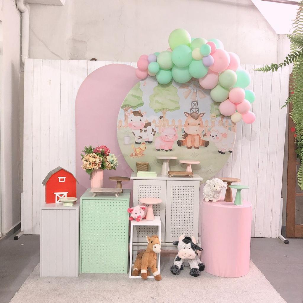 decoração fazendinha rosa