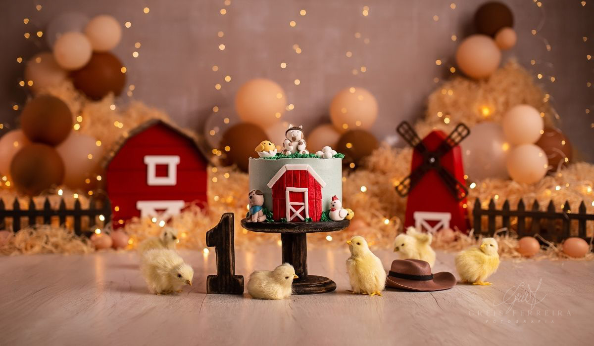 decoração fazendinha simples