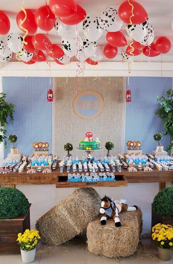 decoração fazendinha simples e barata