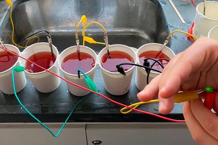 decoração feira de ciencias agua