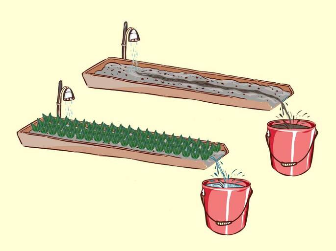 custo decoração feira de ciências água
