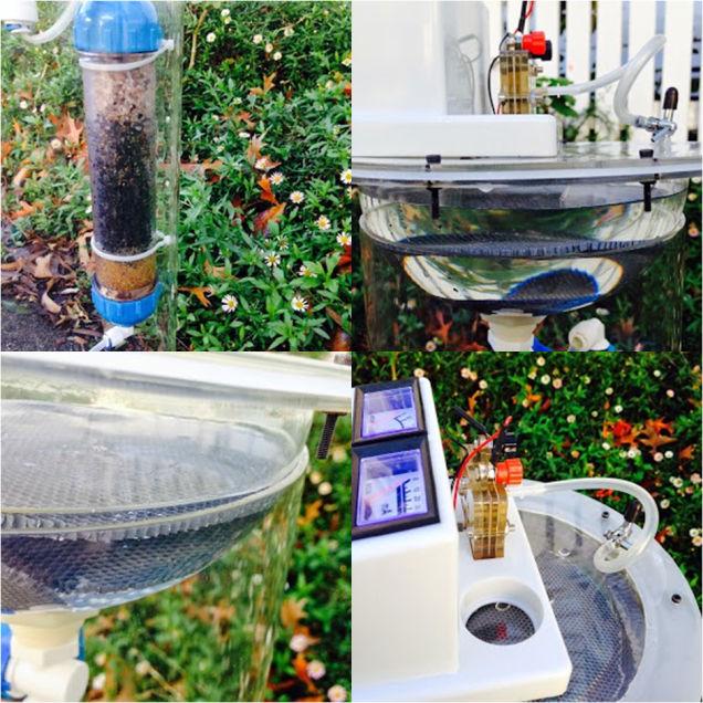 ideias de decoração feira de ciências água ciclo