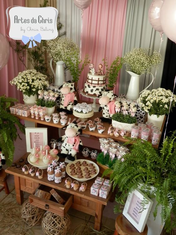 decoração festa fazendinha