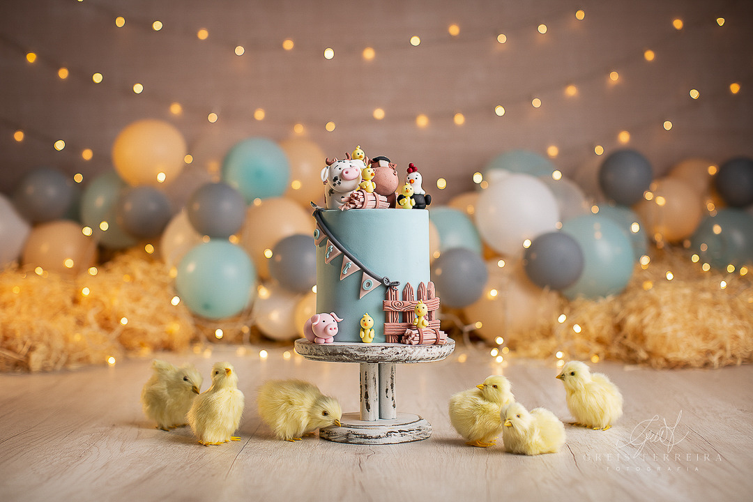 quanto custa decoração festa infantil fazendinha masculina