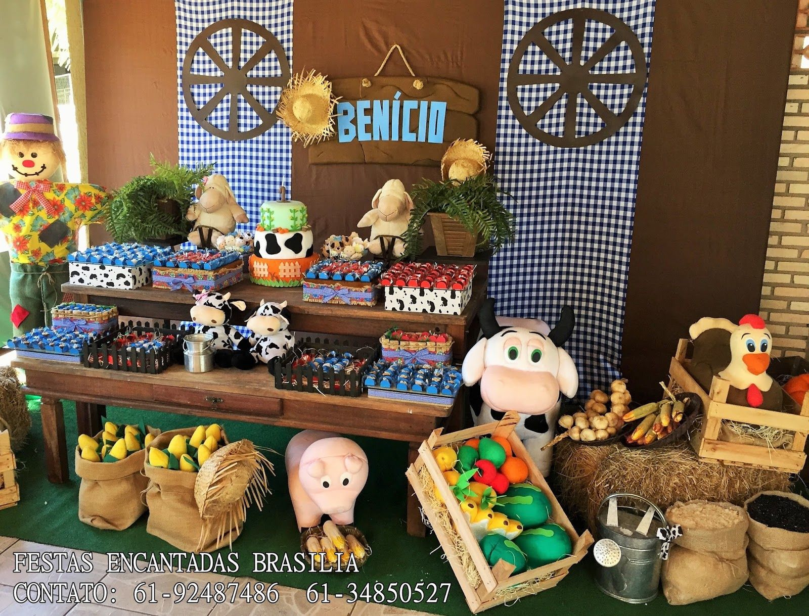 decoração festa infantil fazendinha masculino