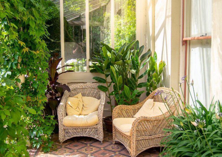 plantas ideais para jardim de inverno com pouca luz natural