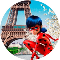 ideias decoração festa ladybug painel redondo