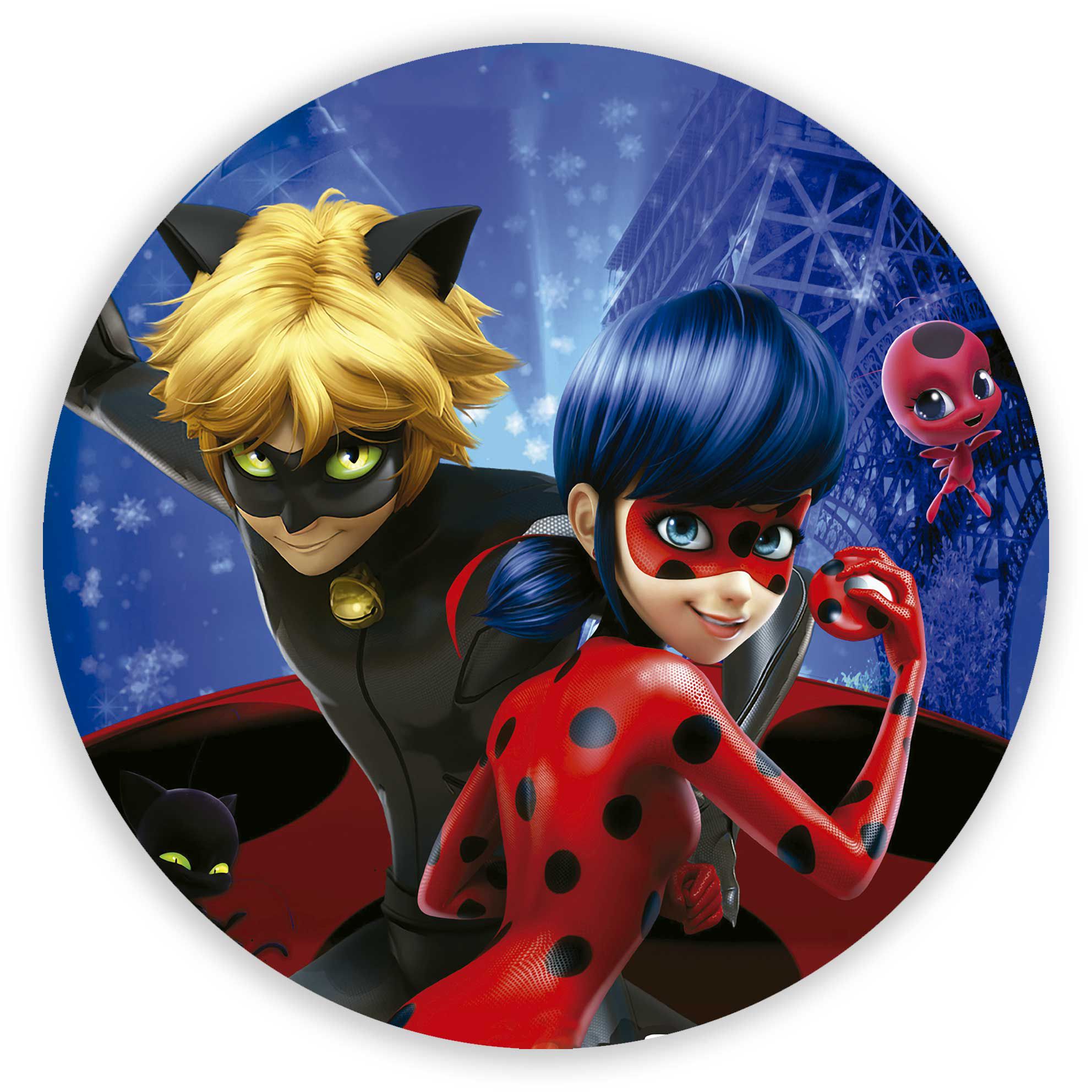 decoração ladybug painel redondo