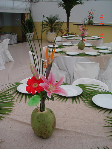 Como Fazer um Luau no Jardim: Dicas de Iluminação e Ambiente