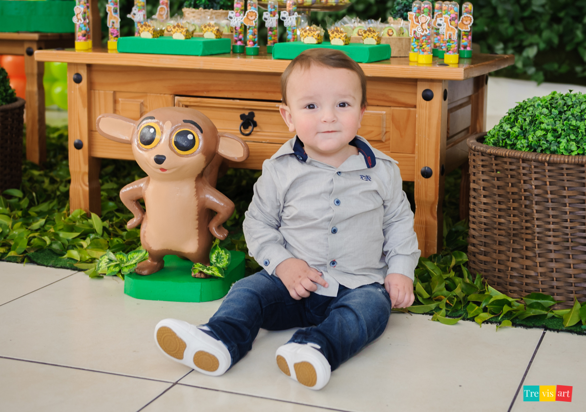 quanto custa decoração Madagascar simples