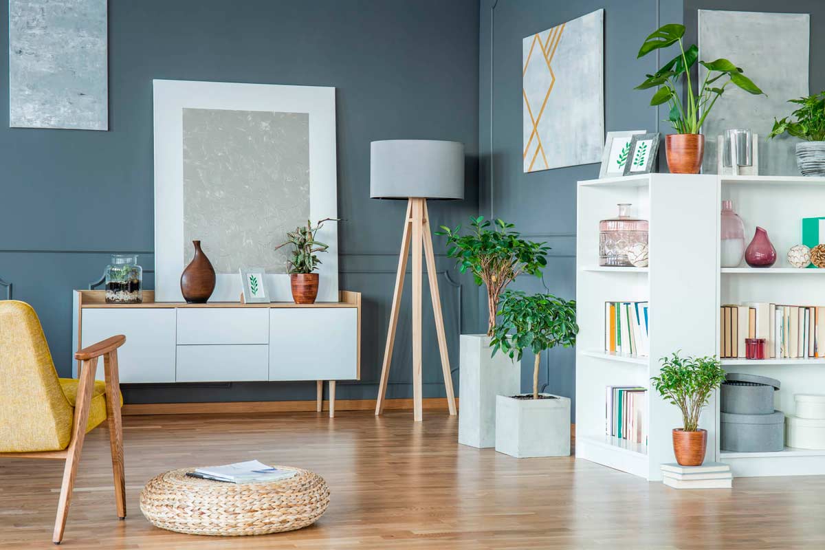 5 ideias de títulos