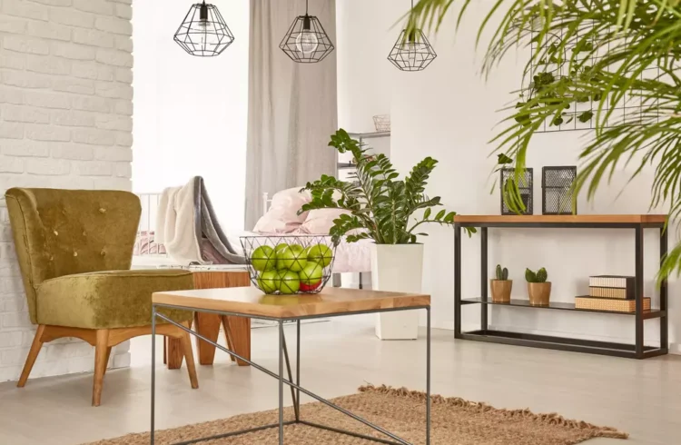 decoração natureza