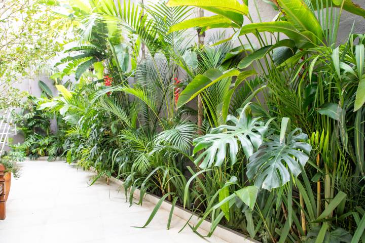 erros comuns ao decorar paisagismo jardim