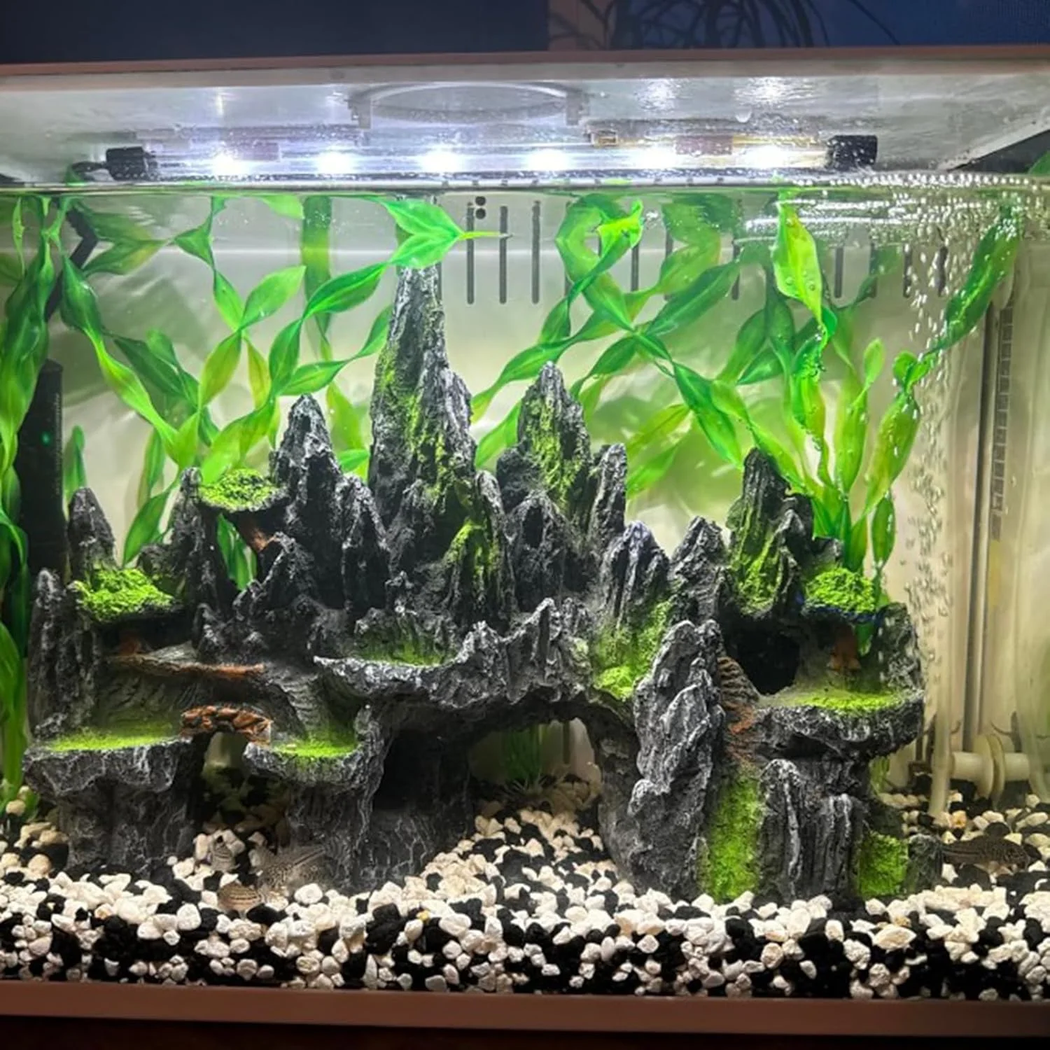 como escolher plantas artificiais para aquário de ciclídeos