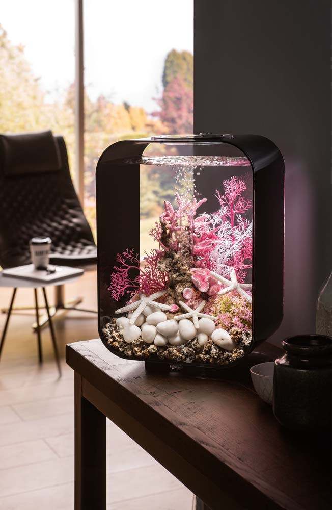 quanto custa decorar um aquário de 100 litros