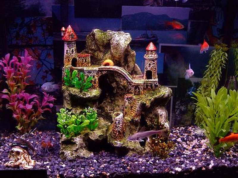 quanto custa decorar um aquário de 100 litros