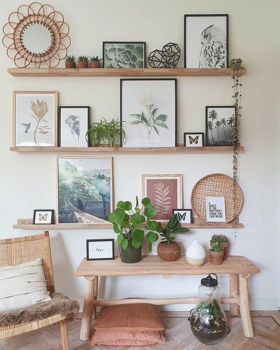 como usar plantas pendentes em prateleiras altas