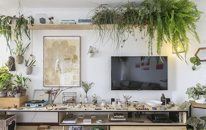 Guia Completo: Como Transformar seu Rack na Estrela da Sala em 2026