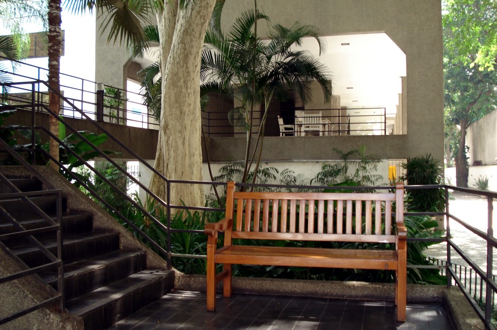 plantas ideais para portaria de prédio com pouca luz