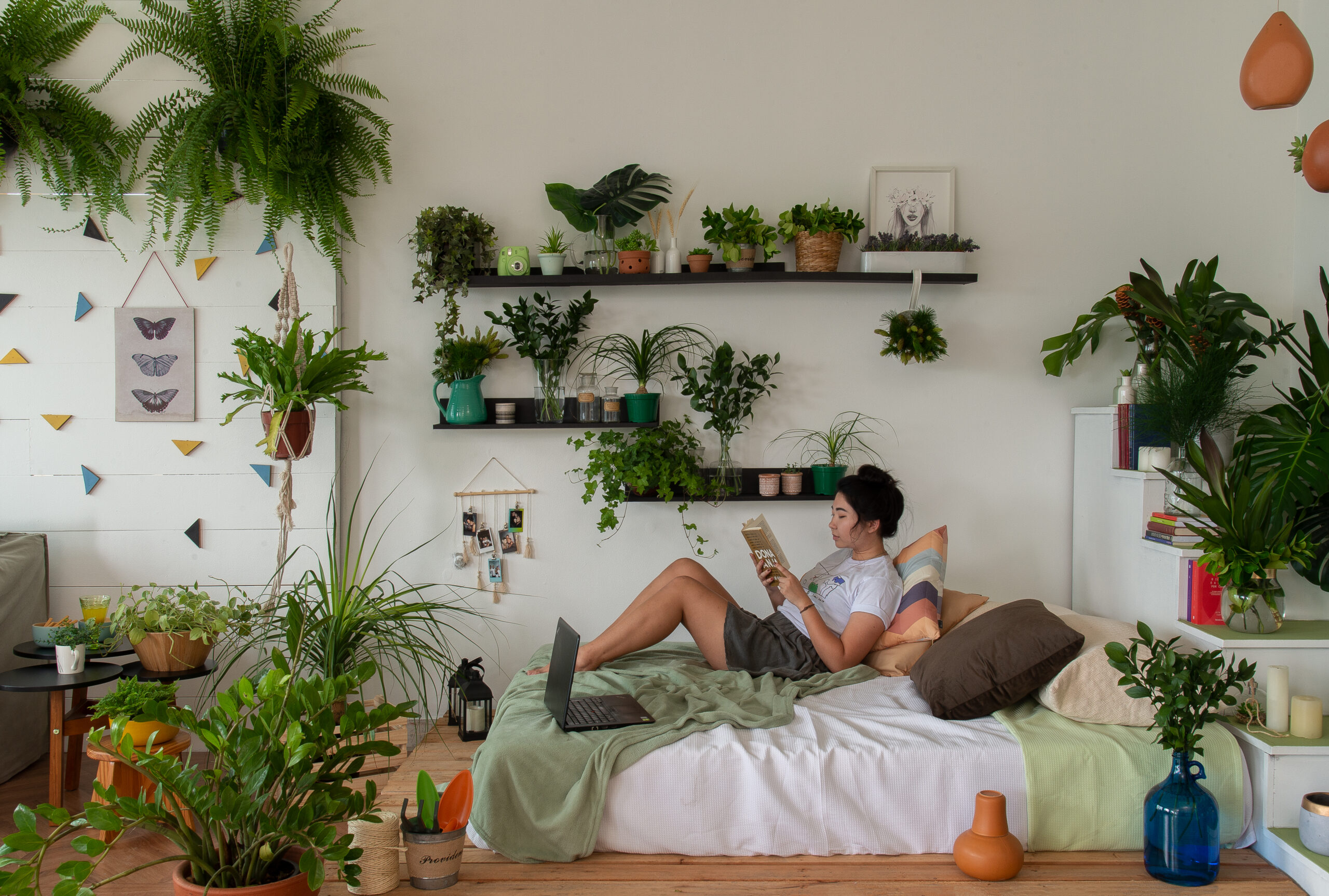 quanto custa decorar quarto com plantas