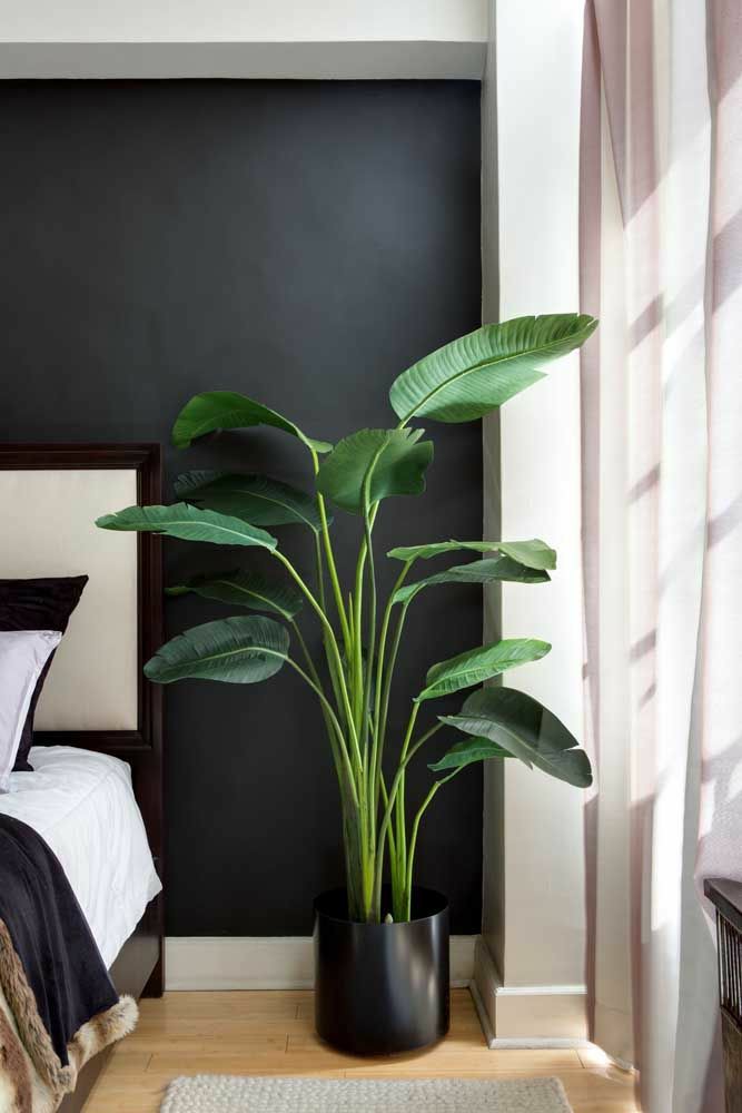 ideias decoração quarto plantas pequenas