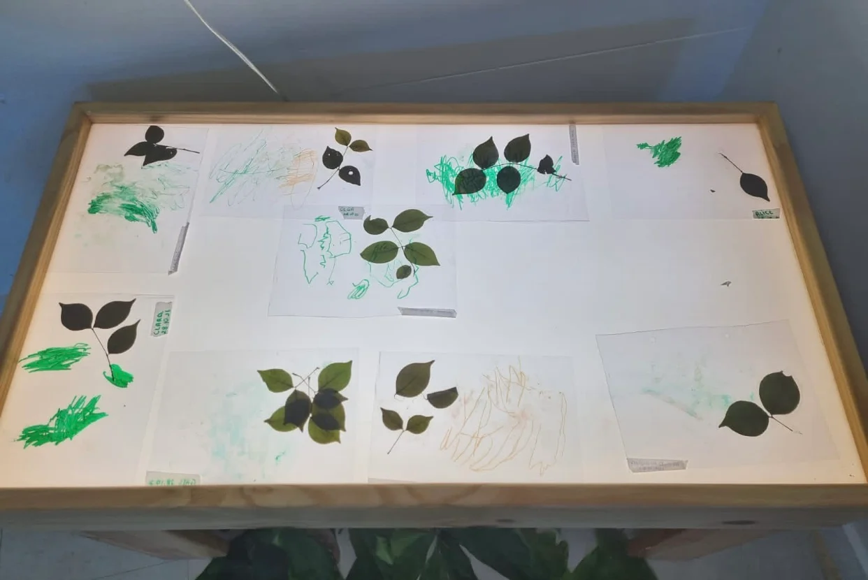 decoração sala de aula reggio emilia