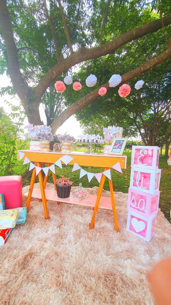 ideias criativas cha revelacao ar livre simples