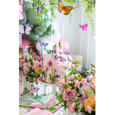 decoração simples jardim das borboletas