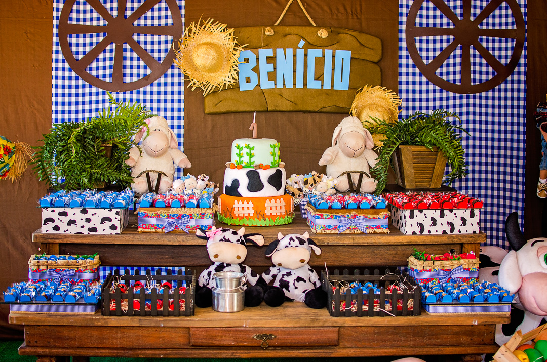 como economizar na festa fazendinha menino