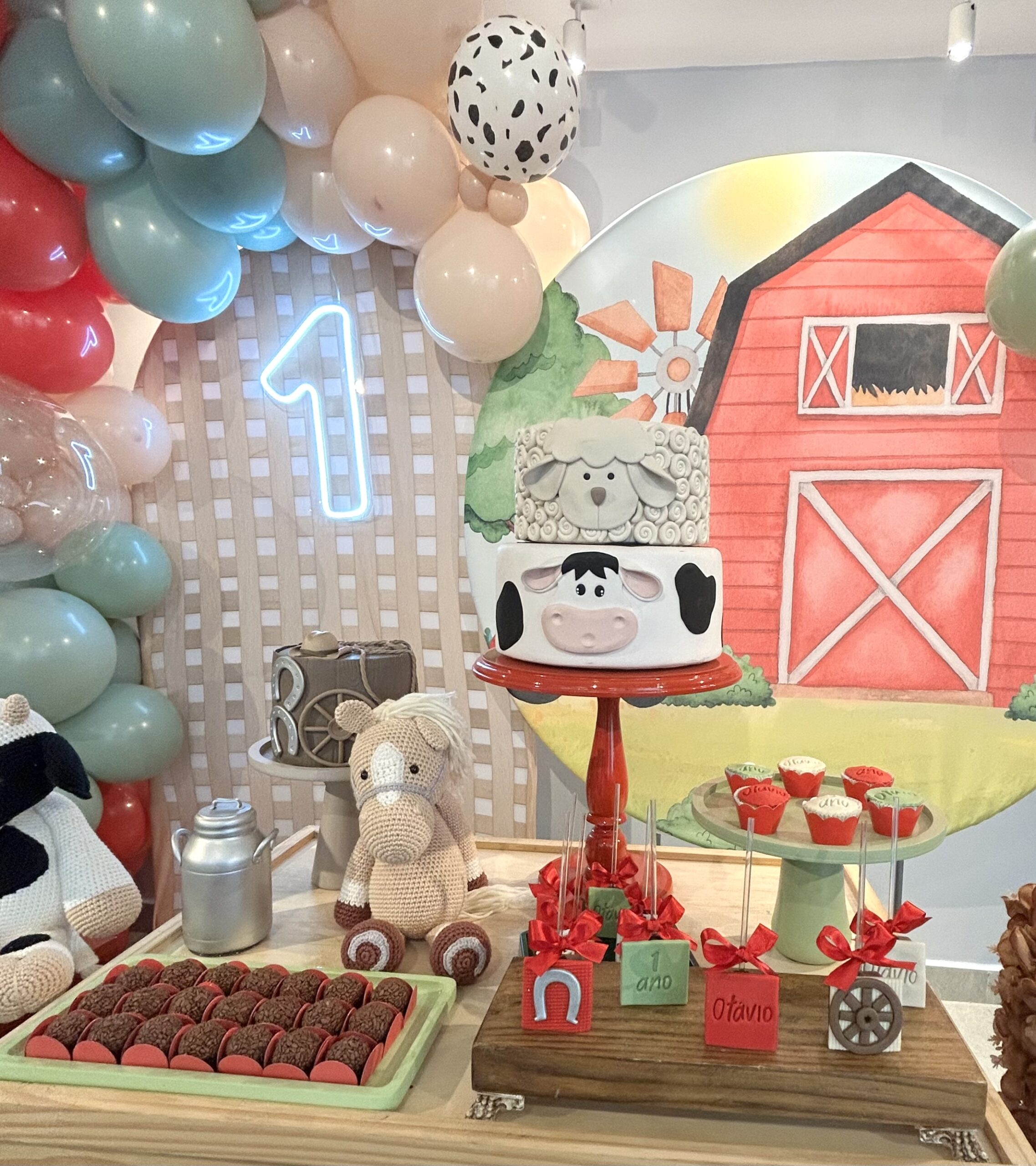 como economizar na festa fazendinha menino