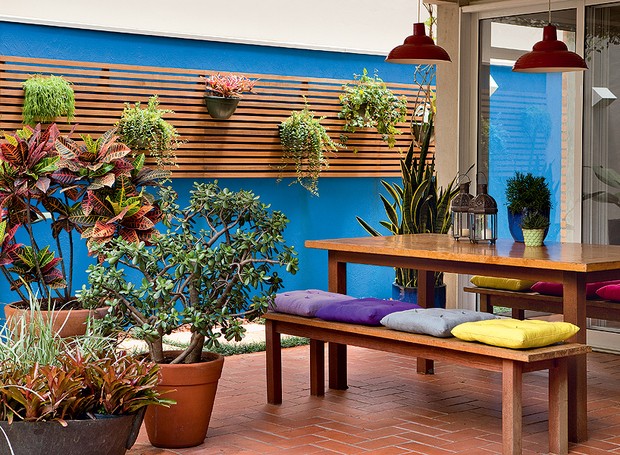 Jardins Verticais: A Solução Verde para Terraços Compactos