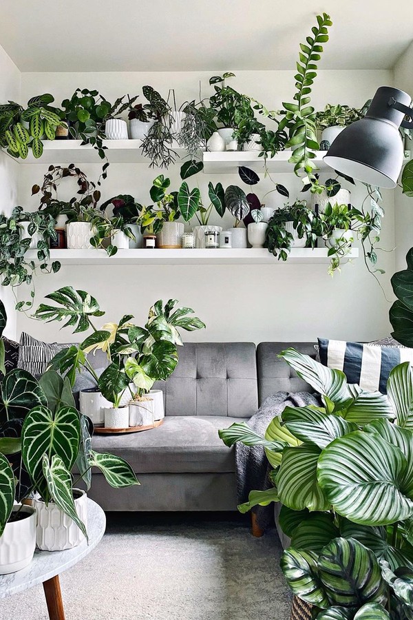 custo para montar decoração urban jungle