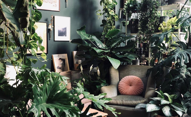 ideias criativas decoração urban jungle