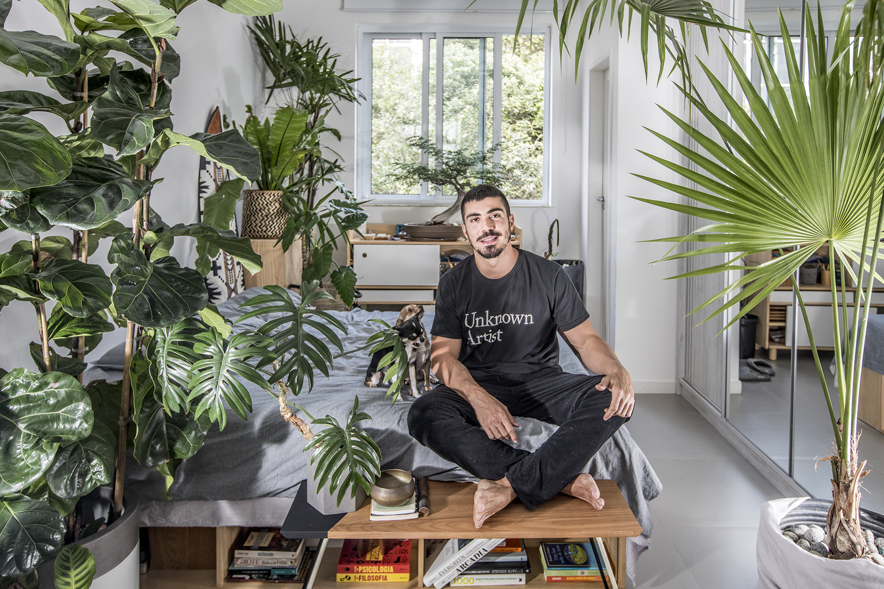 urban jungle vs estilo boho na decoração