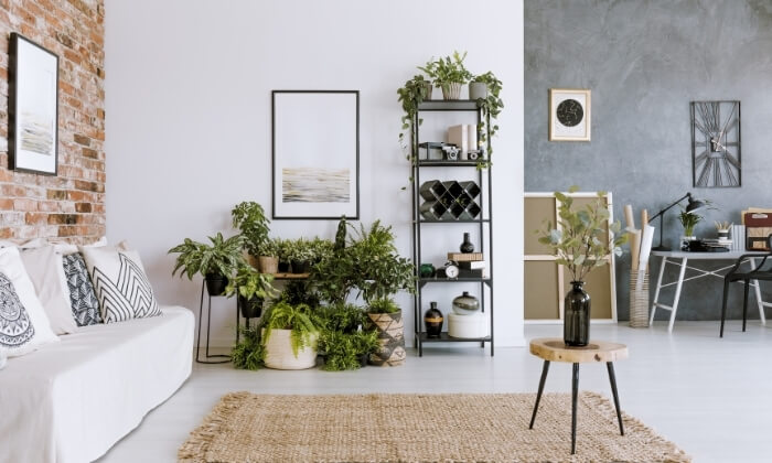 Design Biofílico: Integrando a Natureza na Decoração da Sua Casa