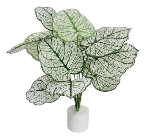 Comigo-Ninguém-Pode para interiores