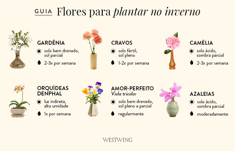 tipos de flores