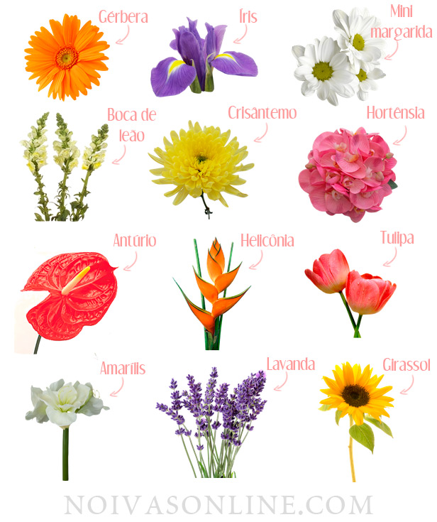 flores para decorar