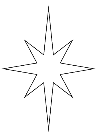 estrela de natal planta cuidados