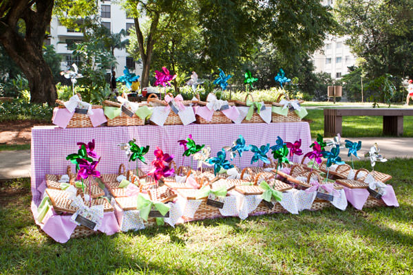 o que levar para um piquenique