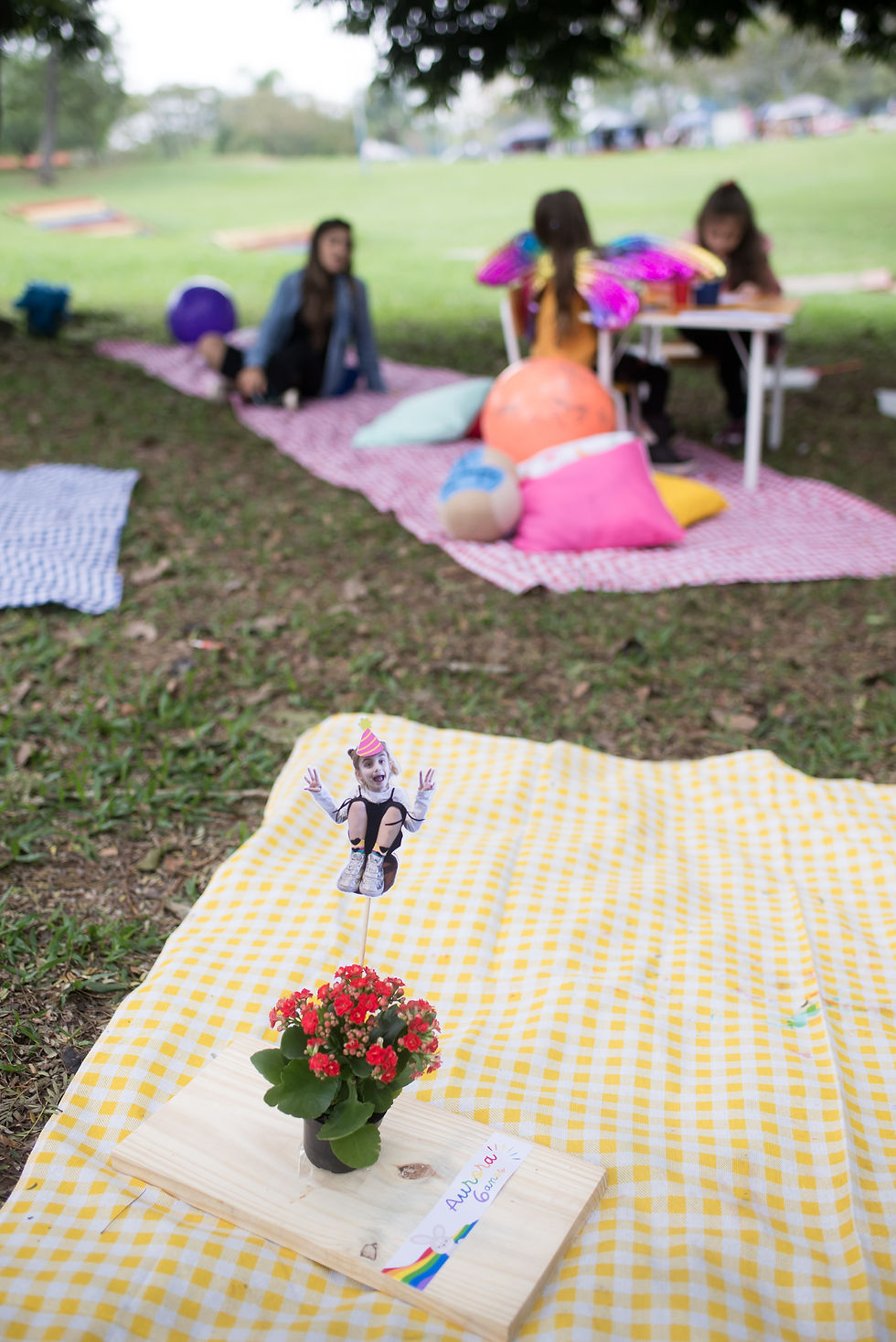 ideias de festa infantil ao ar livre